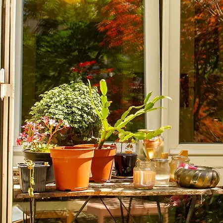 Apartamento Beautiful With A Garden Paris